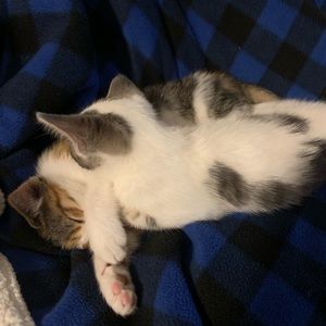 Meet your Posher, Julie